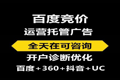 百度推广费用的投入与市场占有率提升的关联案例