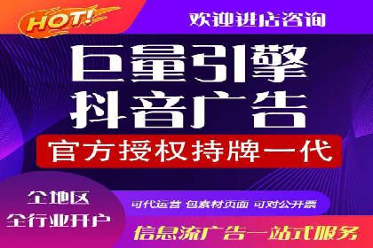 竞价托管与SEO结合的案例分析